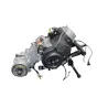 Moteur TNT MOTOR ROMA III 50 R 10 2011 - 2018 Moteur TNT MOTOR ROMA III 50 R 10 2011 - 2018
