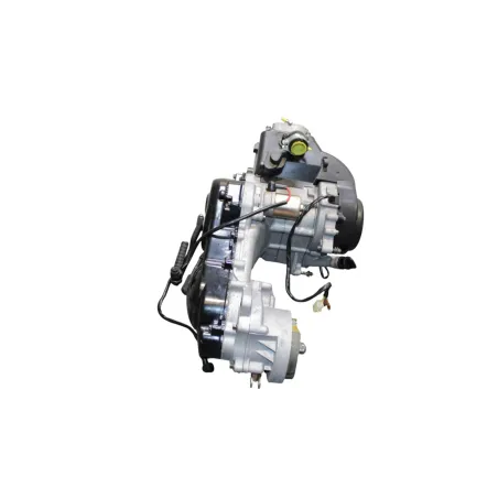 Moteur TNT MOTOR ROMA III 50 R 10 2011 - 2018