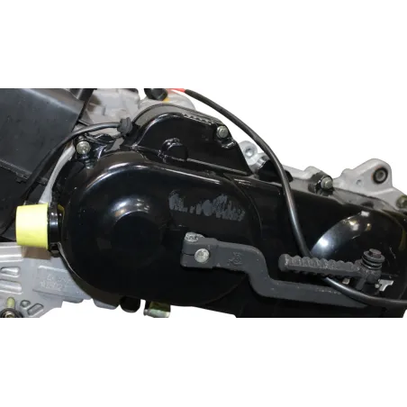 Moteur TNT MOTOR ROMA III 50 R 10 2011 - 2018