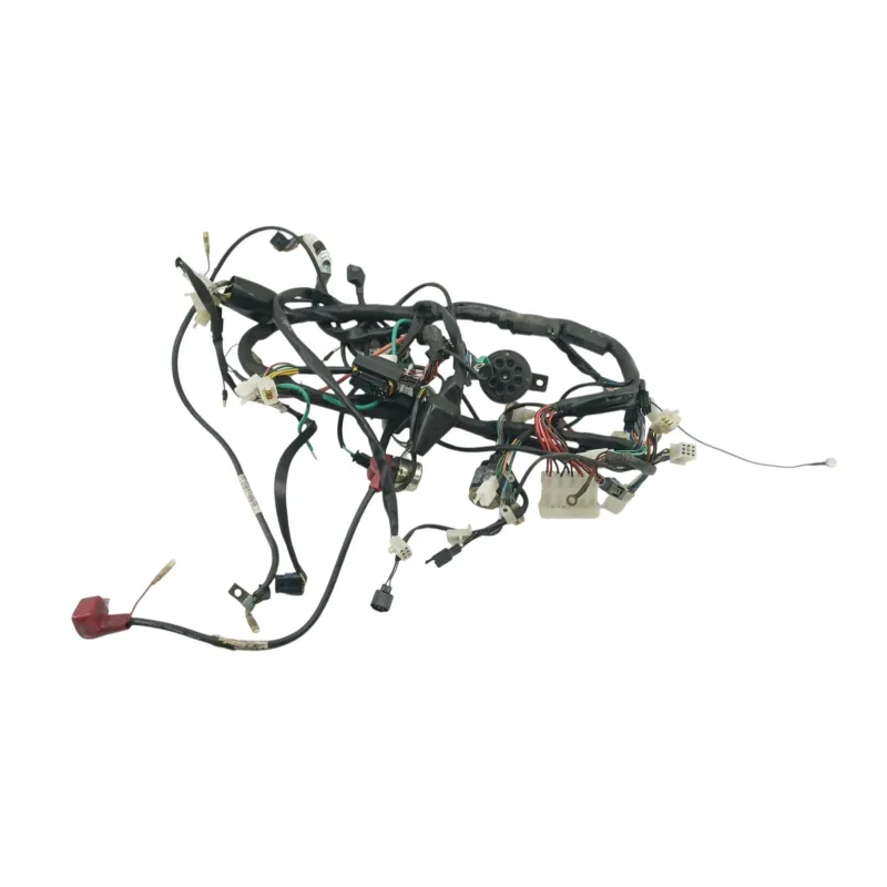 Faisceau electrique DAELIM ROADSPORT 125 2007 - 2011