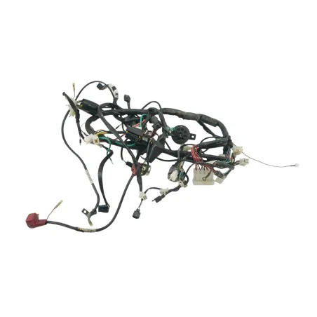 Faisceau electrique DAELIM ROADSPORT 125 2007 - 2011