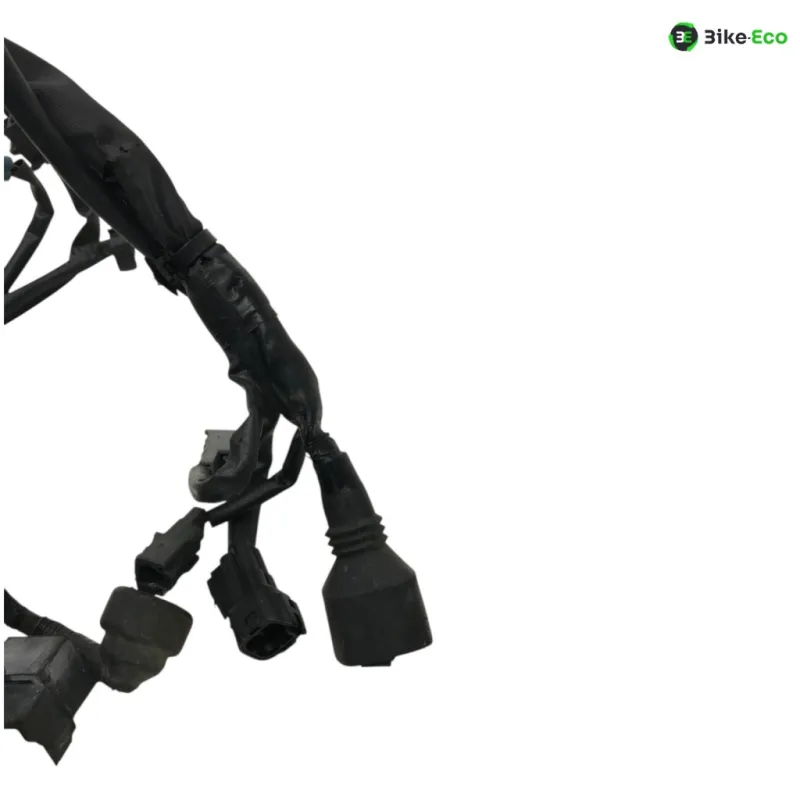 Faisceau electrique KAWASAKI Z 400 2019-2023