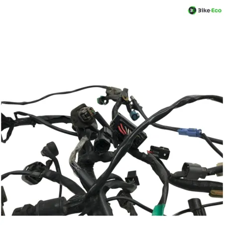 Faisceau electrique KAWASAKI Z 400 2019-2023