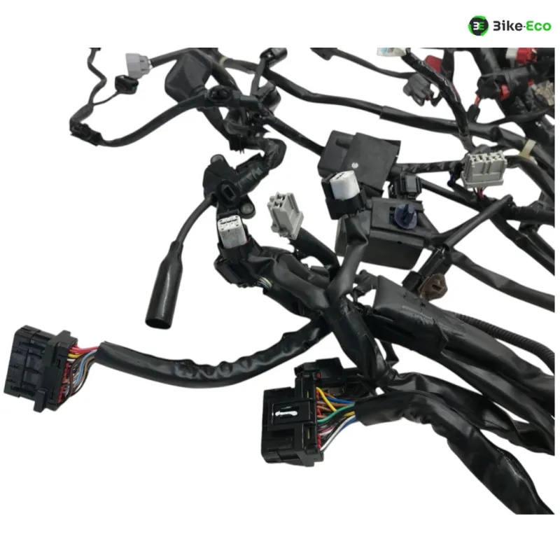 Faisceau electrique HONDA XADV 750 2021-2024