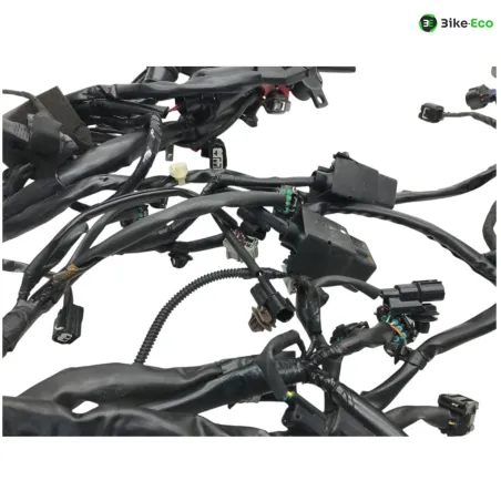 Faisceau electrique HONDA XADV 750 2021-2024