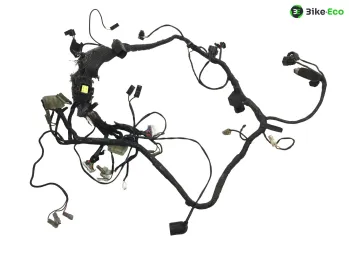 Faisceau electrique TRIUMPH TRIDENT 900 1993-1996