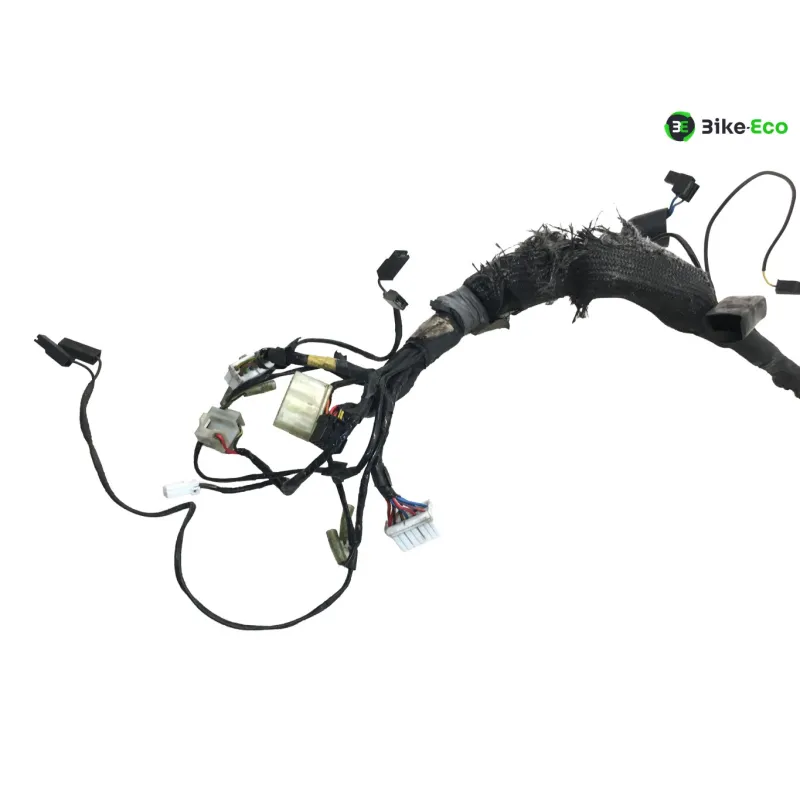 Faisceau electrique TRIUMPH TRIDENT 900 1993-1996