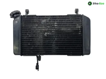Radiateur eau SUZUKI SV 650 N 1999-2002