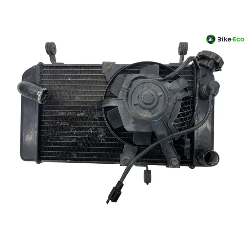 Radiateur eau SUZUKI SV 650 N 1999-2002