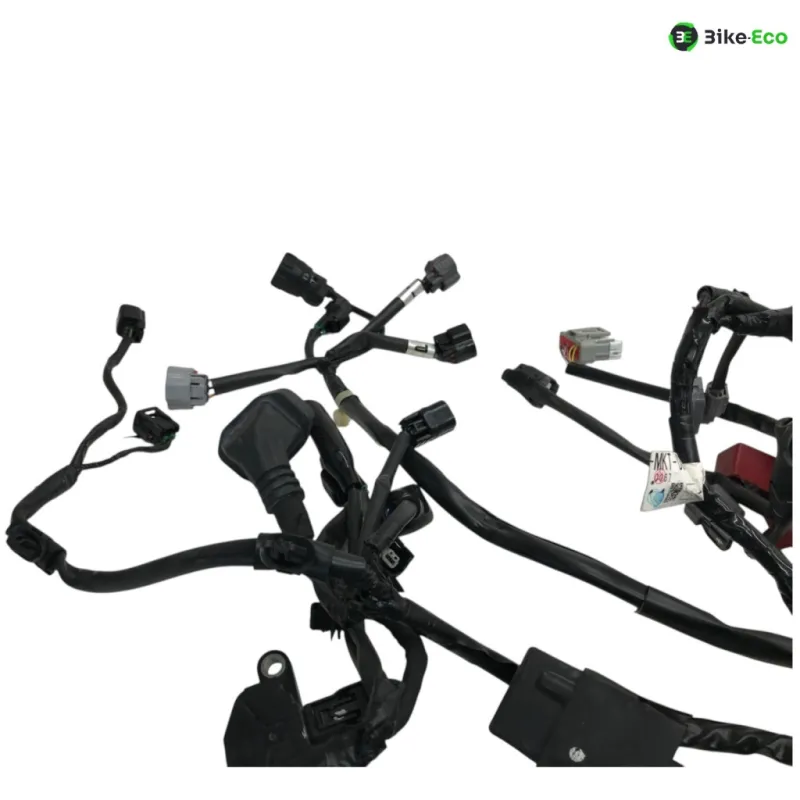 Faisceau electrique HONDA XADV 750 2021-2024