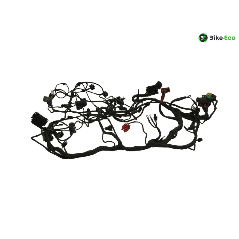 Faisceau electrique BMW C 650 GT 2012-2015 K19