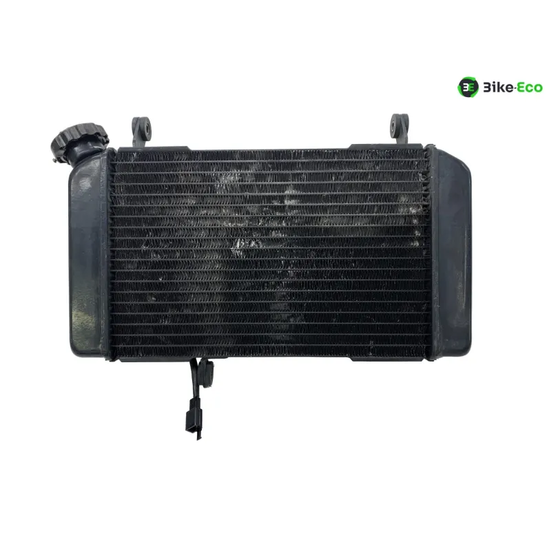 Radiateur eau SUZUKI SV 650 N 1999-2002