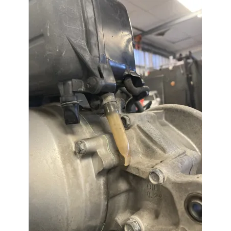 Moteur HONDA NHX 110 2008-2012 LEAD