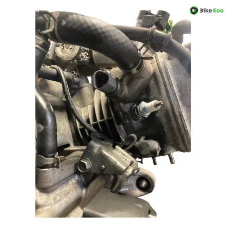 Moteur HONDA NHX 110 2008-2012 LEAD