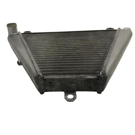Radiateur eau DUCATI PANIGALE 1199 S 2012