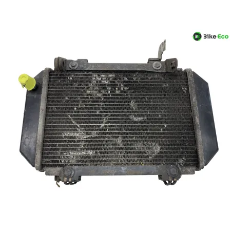 Radiateur eau KYMCO AK 550 2017-2020
