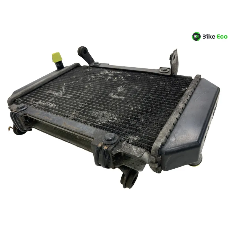 Radiateur eau KYMCO AK 550 2017-2020