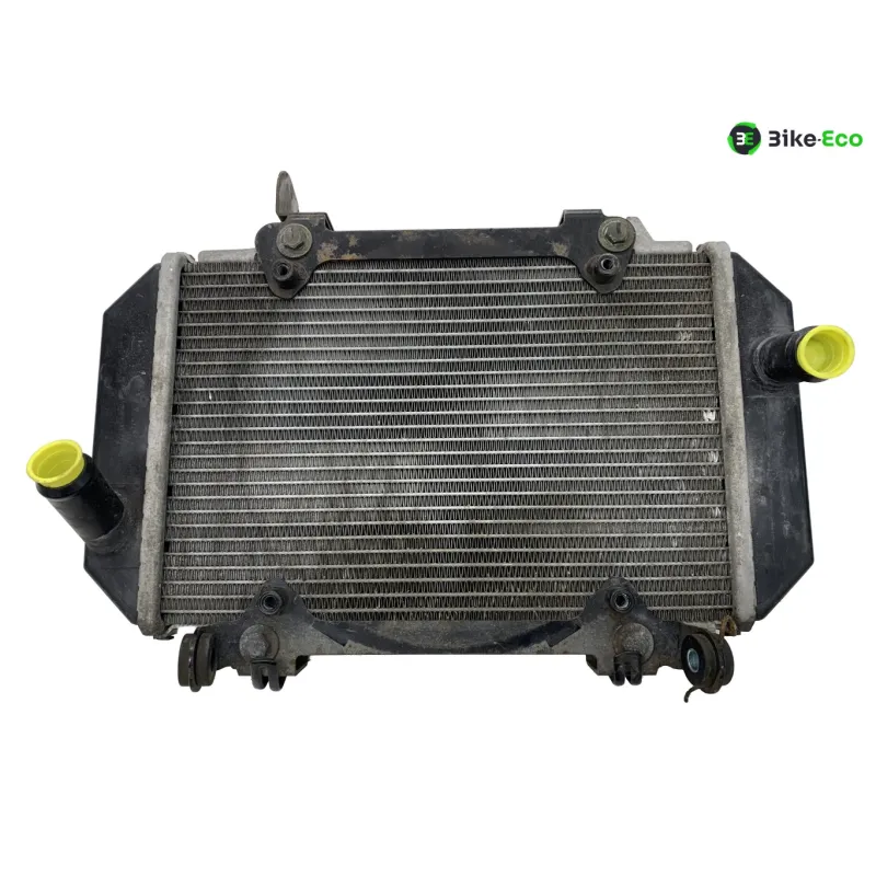 Radiateur eau KYMCO AK 550 2017-2020