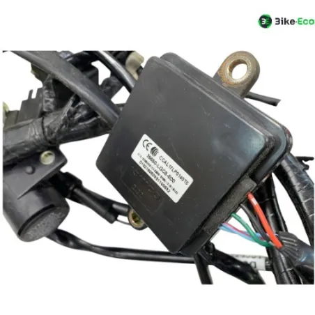 Faisceau electrique KYMCO AK 550 2017-2020
