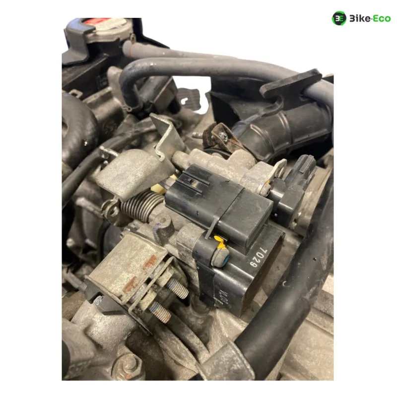 Moteur HONDA NHX 110 2008-2012 LEAD