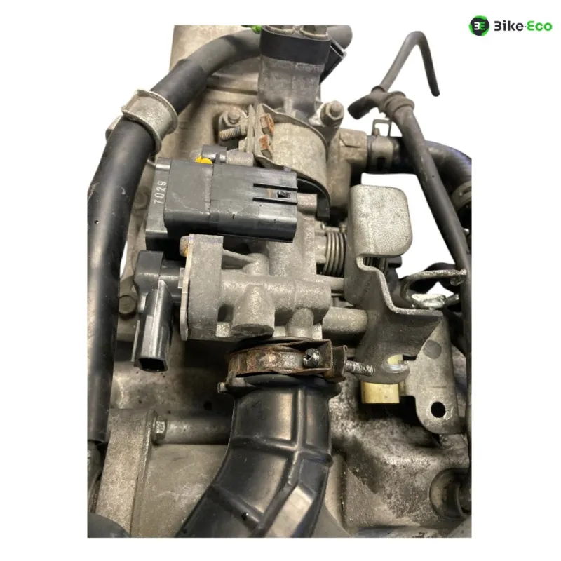 Moteur HONDA NHX 110 2008-2012 LEAD