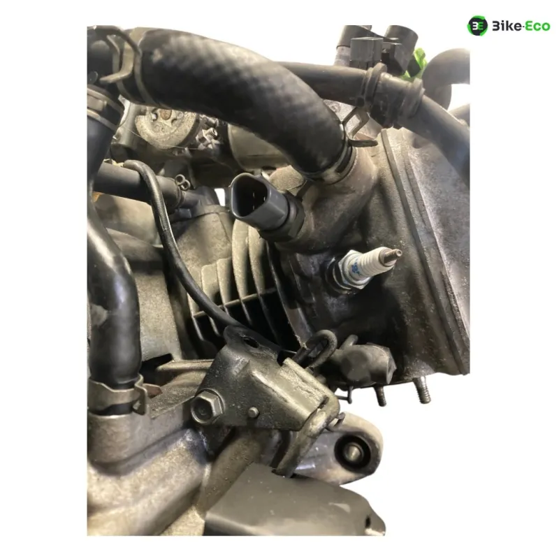 Moteur HONDA NHX 110 2008-2012 LEAD