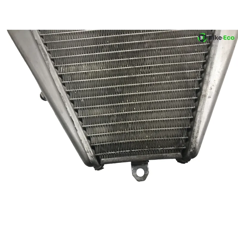 Radiateur eau DUCATI PANIGALE 1199 S 2012