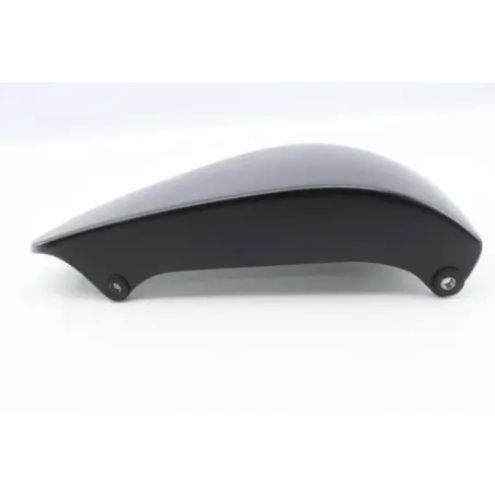 Flanc avant gauche LEONART DAYTONA 125 2014 - 2022