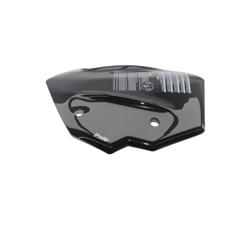 Bulle PUIG R 1250 GS 2019 - 2024