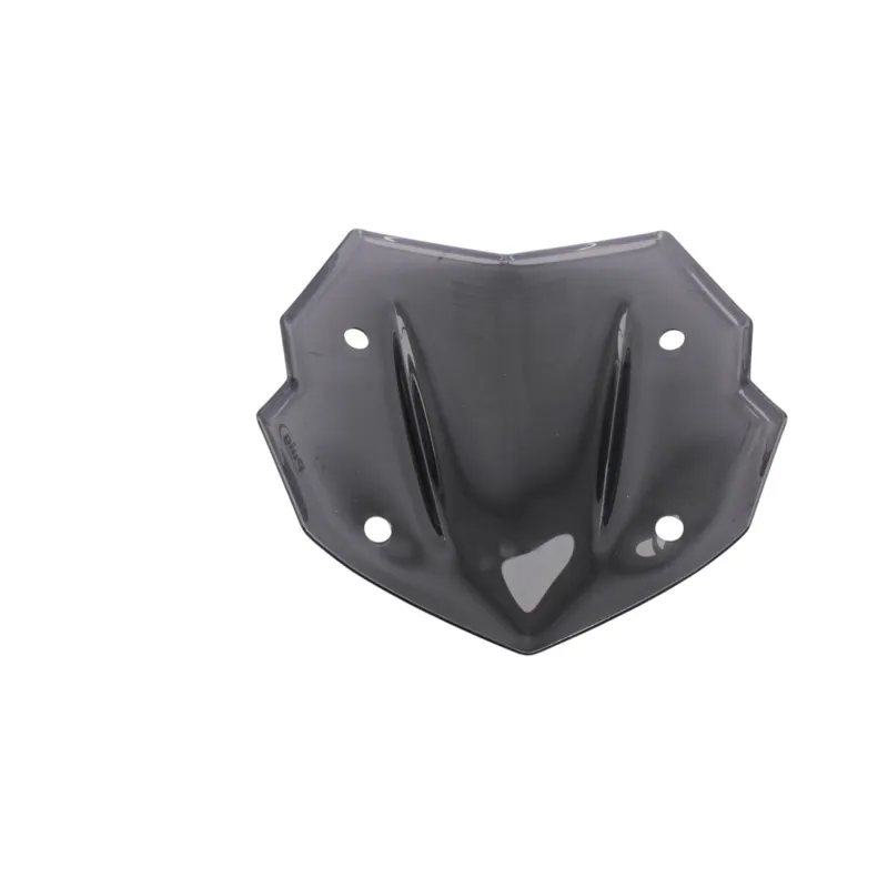 Bulle PUIG R 1250 GS 2019 - 2024