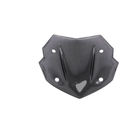 Bulle PUIG R 1250 GS 2019 - 2024