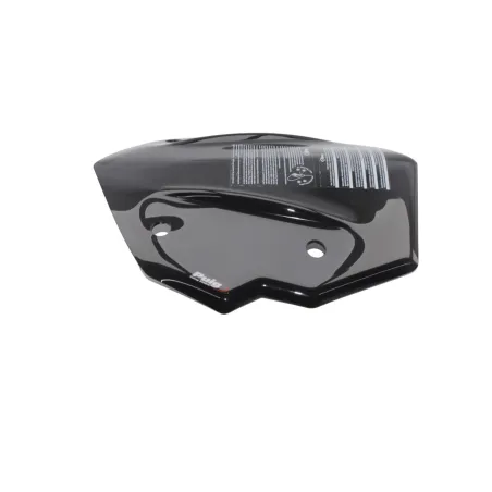Bulle PUIG R 1250 GS 2019 - 2024
