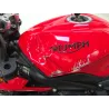 TRIUMPH STREET TRIPLE 660