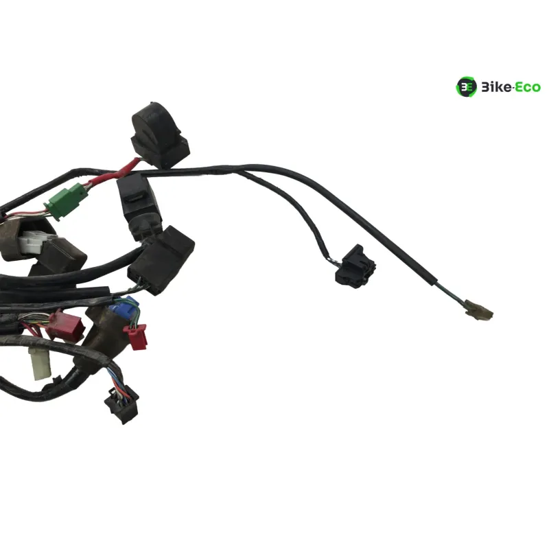 Faisceau electrique HONDA VFR 800 FI 2000-2001