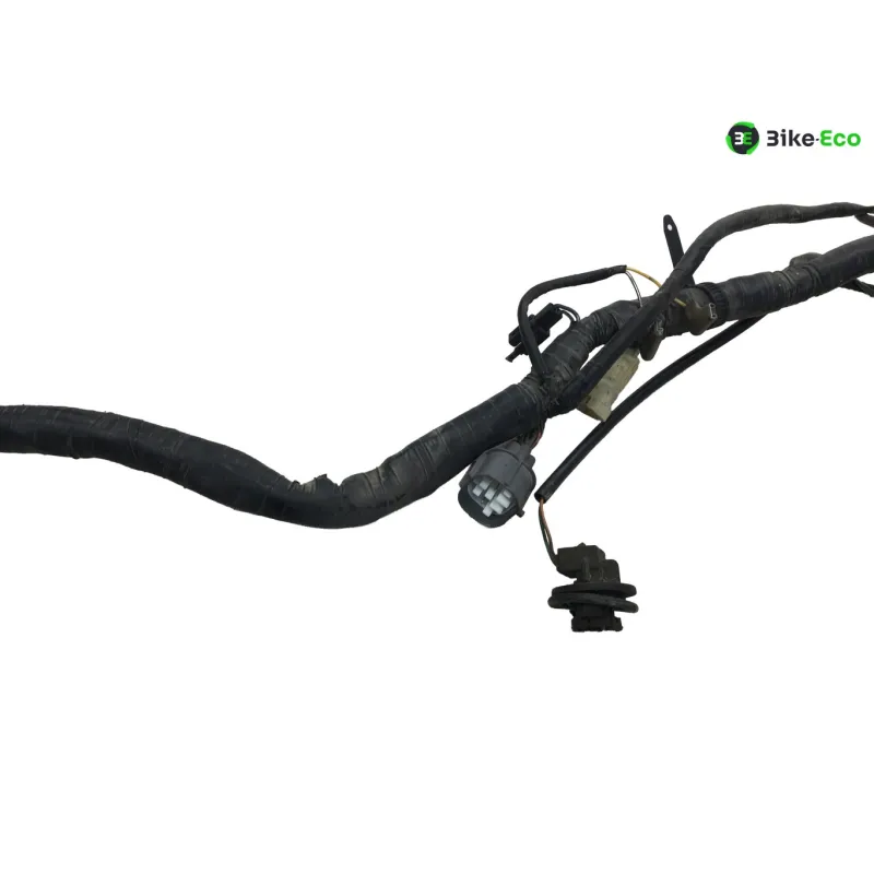 Faisceau electrique HONDA VFR 800 FI 2000-2001