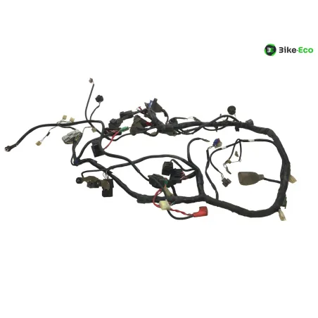Faisceau electrique HONDA VFR 800 FI 2000-2001