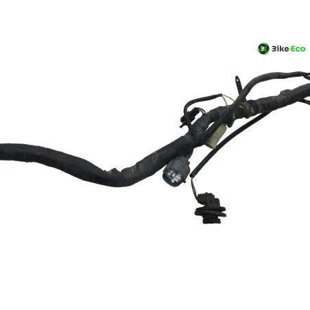 Faisceau electrique HONDA VFR 800 FI 2000-2001