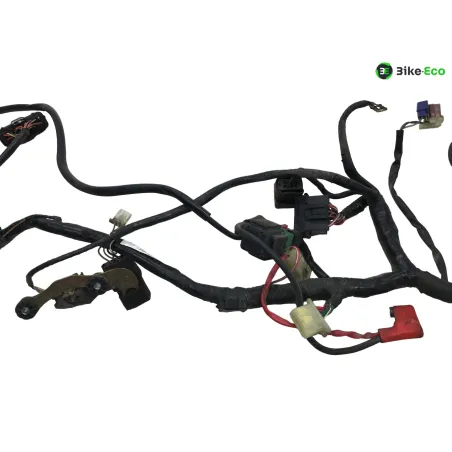 Faisceau electrique HONDA VFR 800 FI 2000-2001