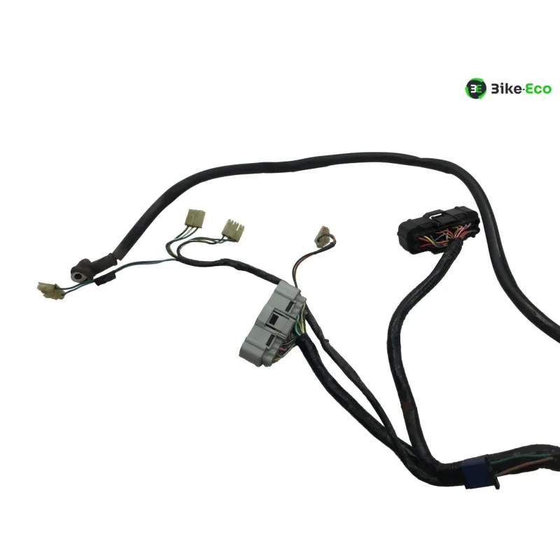 Faisceau electrique HONDA VFR 800 FI 2000-2001