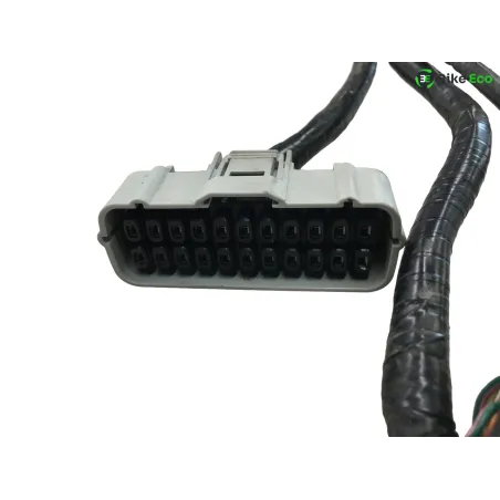 Faisceau electrique HONDA VFR 800 FI 2000-2001