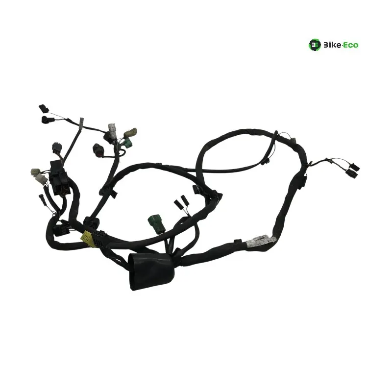 Faisceau electrique SUZUKI GSF 600 2000-2004 BANDIT S
