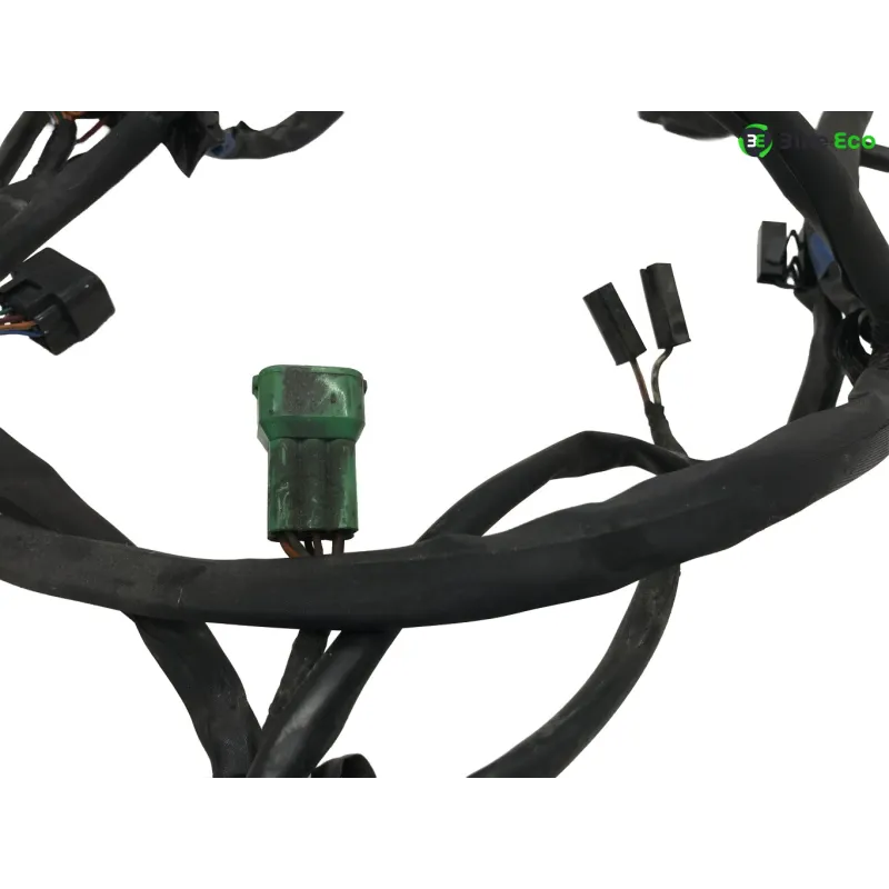 Faisceau electrique SUZUKI GSF 600 2000-2004 BANDIT S