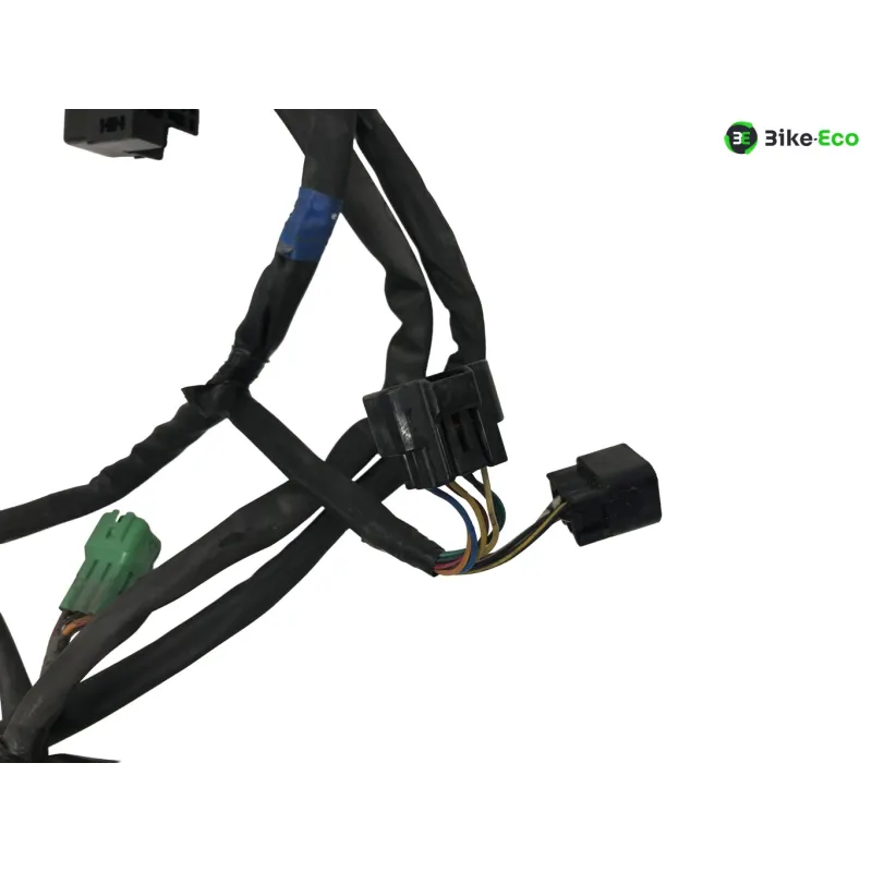 Faisceau electrique SUZUKI GSF 600 2000-2004 BANDIT S
