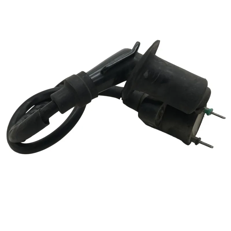 Bobine allumage KYMCO AGILITY 50 2006-2008 R10 4T