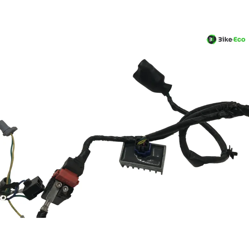 Faisceau electrique HONDA CBF 125 2009-2012