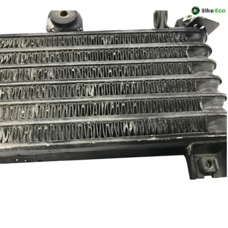 Radiateur huile KAWASAKI ZZR 600 1999-2001