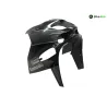Cache carenage tete de fourche KAWASAKI ZZR 600 1999-2001 Cache carenage tete de fourche KAWASAKI ZZR 600 1999-2001