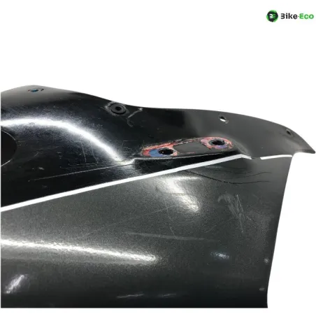 Cache carenage tete de fourche KAWASAKI ZZR 600 1999-2001