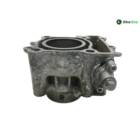 Piston cylindre YAMAHA CZD 300 2017-2020 XMAX