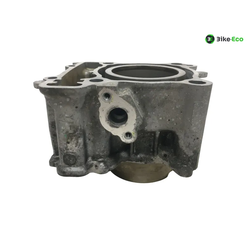 Piston cylindre YAMAHA CZD 300 2017-2020 XMAX